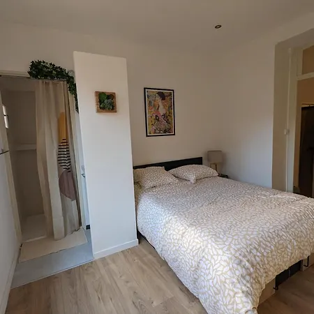 Lägenhet Proche Du Centre Ville, Calme, Climatise, Avec 2 Salles D'eau